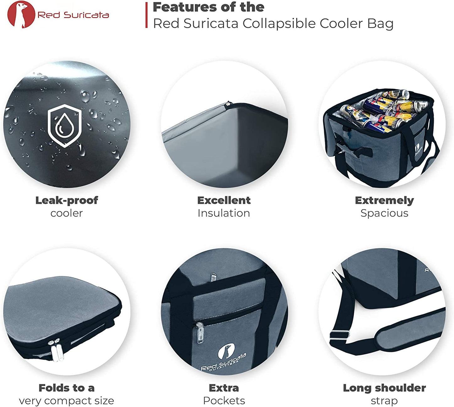 Collapsible Cooler Bag 